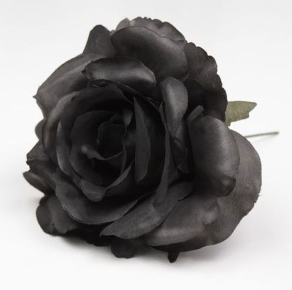 Small Rose Cadiz. 10cm. Black
